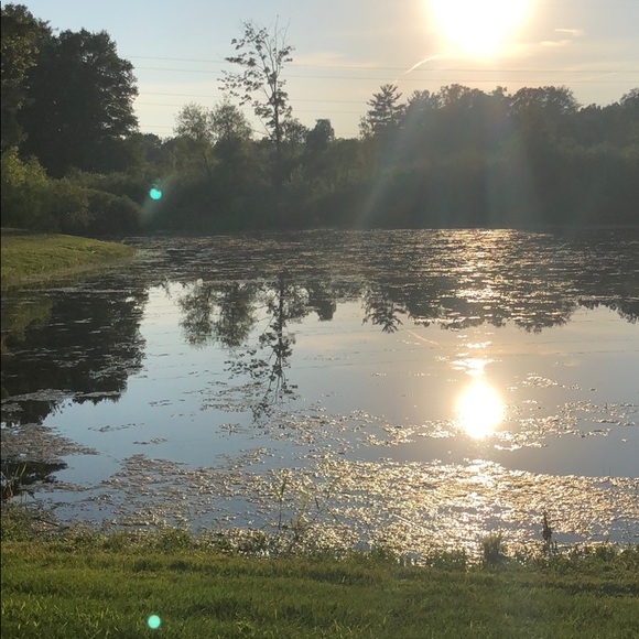 Meet your Posher, Anna - Picture 1 of 1